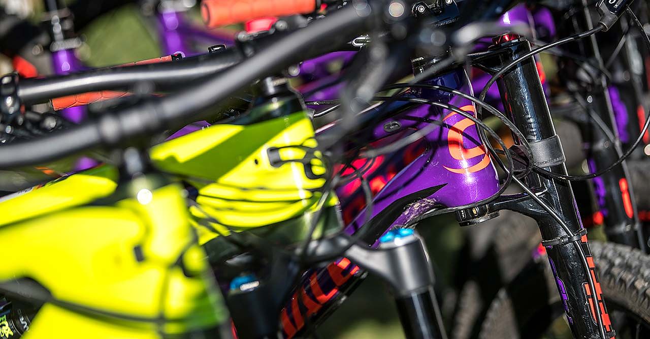  Bikes im Bike Keller